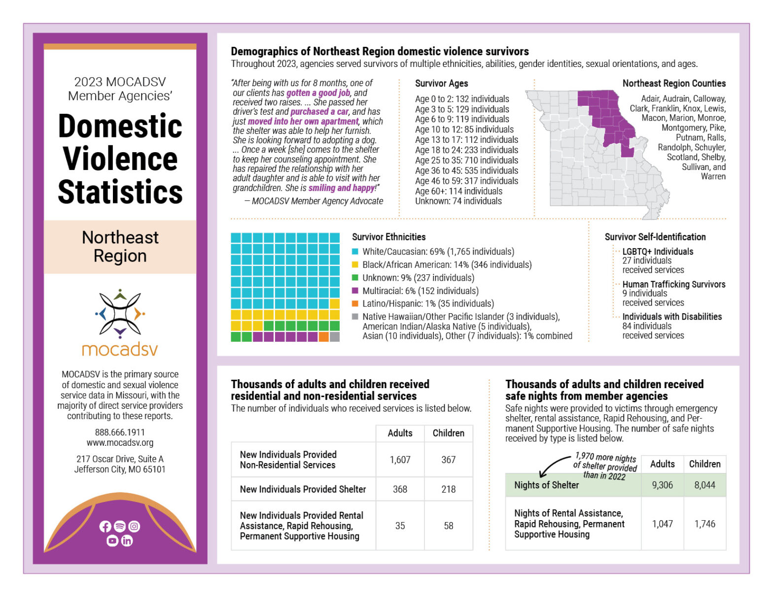 2023 Northeast Region Domestic Violence Stat Sheet